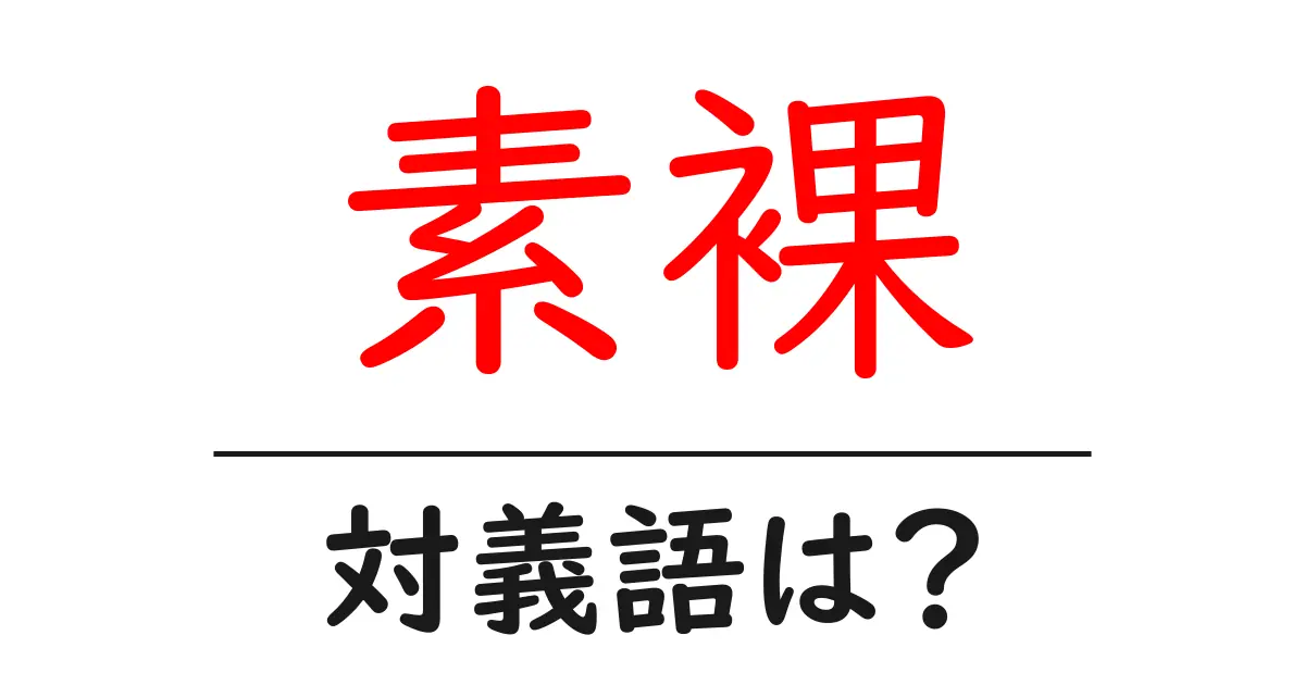 素裸の対義語・反対語を使用例を交えて分かりやすく解説!