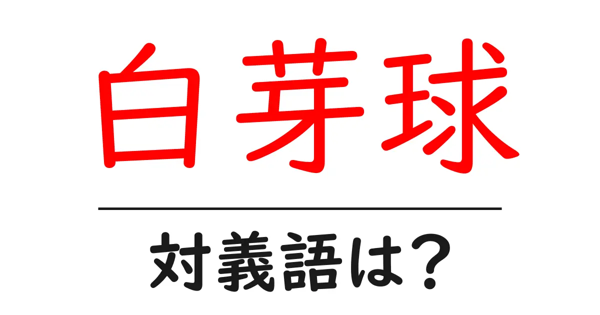 白芽球の対義語・反対語を使用例を交えて分かりやすく解説!