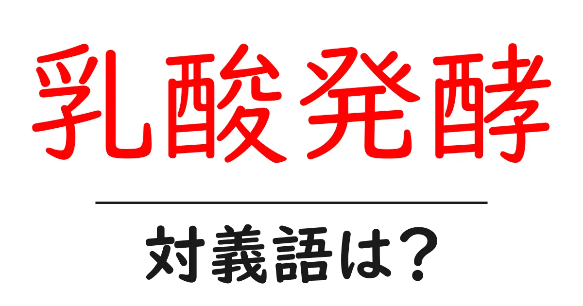 乳酸発酵の対義語・反対語を使用例を交えて分かりやすく解説!