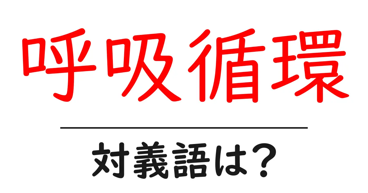 呼吸循環の対義語・反対語を使用例を交えて分かりやすく解説!