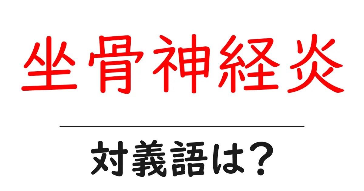 坐骨神経炎の対義語・反対語を使用例を交えて分かりやすく解説!