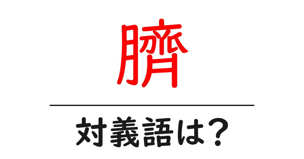 臍の対義語・反対語を使用例を交えて分かりやすく解説!