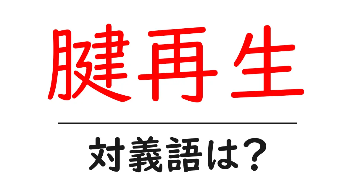 腱再生の対義語・反対語を使用例を交えて分かりやすく解説！