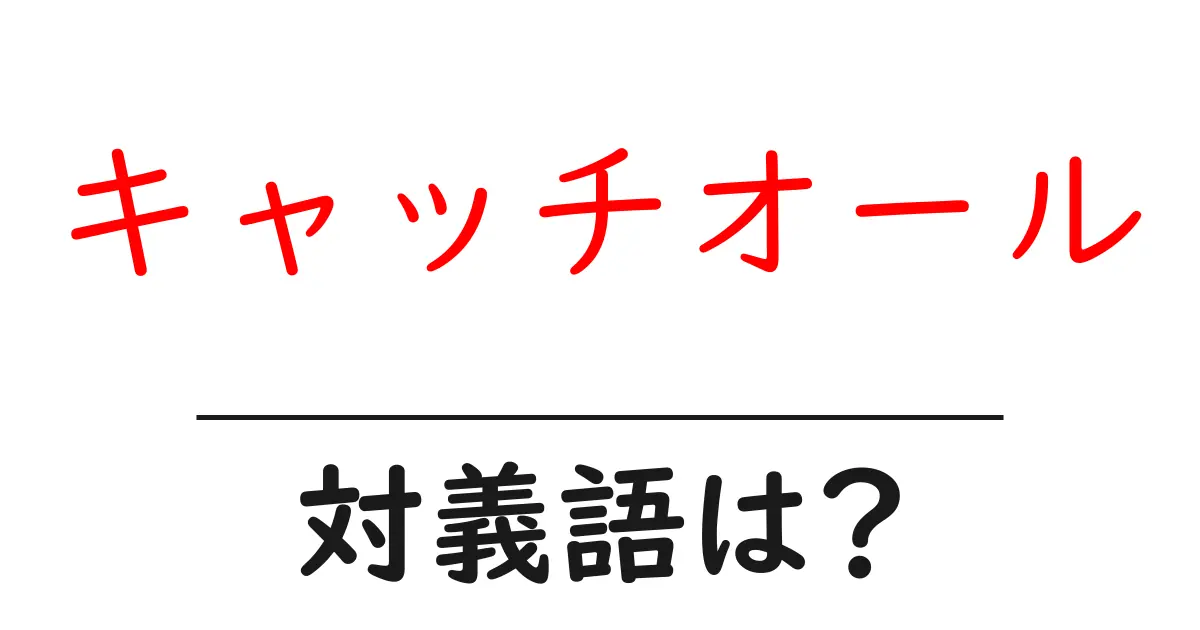 キャッチオールの対義語・反対語を使用例を交えて分かりやすく解説!