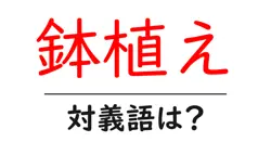 鉢植えの対義語・反対語を使用例を交えて分かりやすく解説！