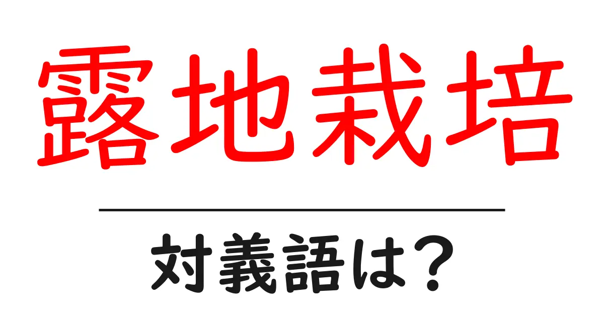 露地栽培の対義語・反対語を使用例を交えて分かりやすく解説!