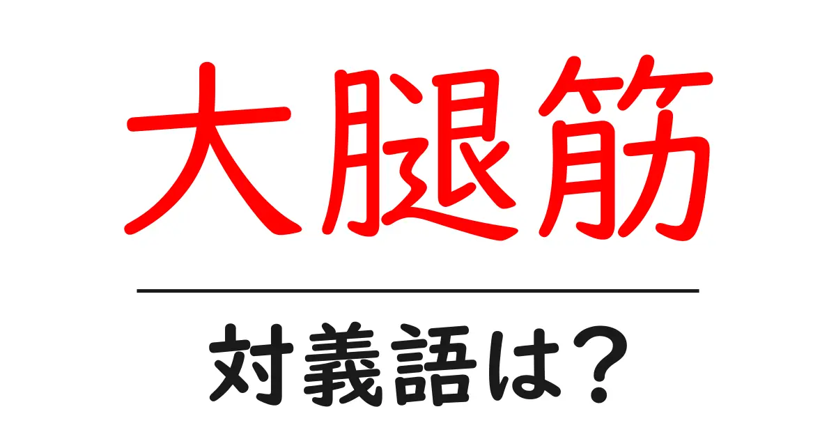 大腿筋の対義語・反対語を使用例を交えて分かりやすく解説！