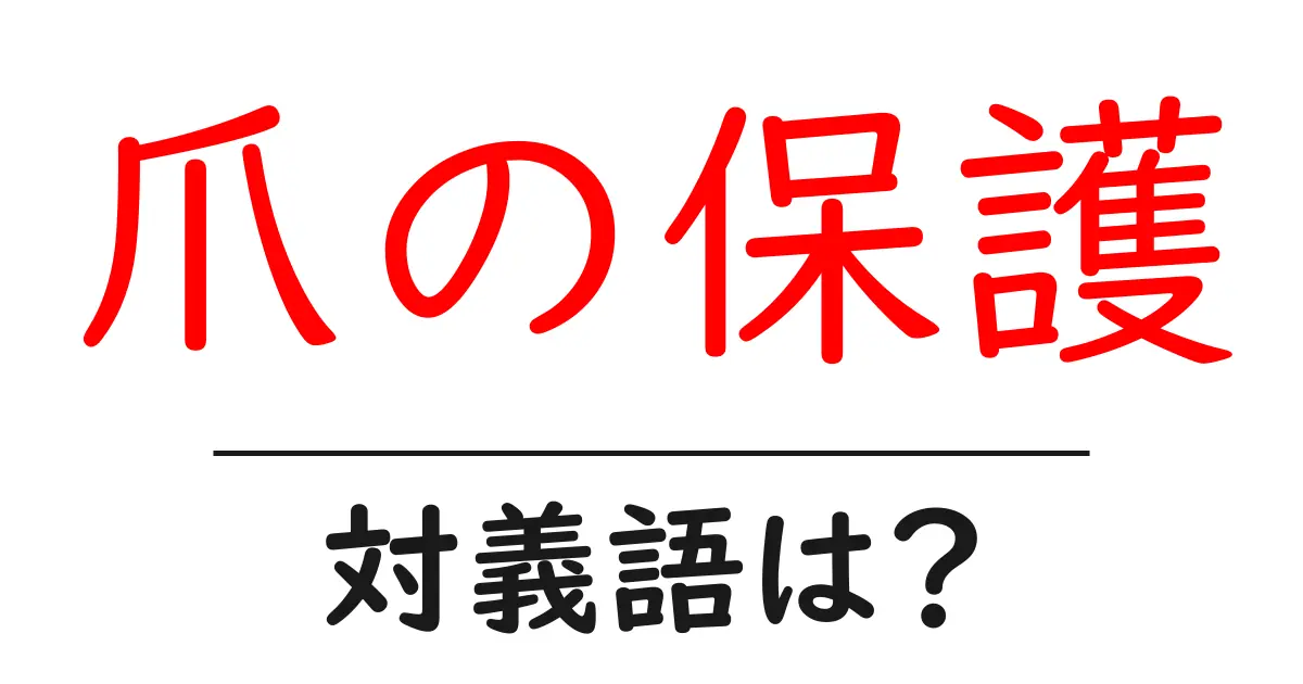 爪の保護の対義語・反対語を使用例を交えて分かりやすく解説!