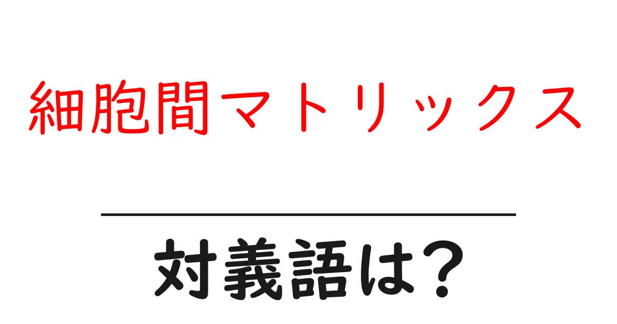 細胞間マトリックスの対義語・反対語を使用例を交えて分かりやすく解説!