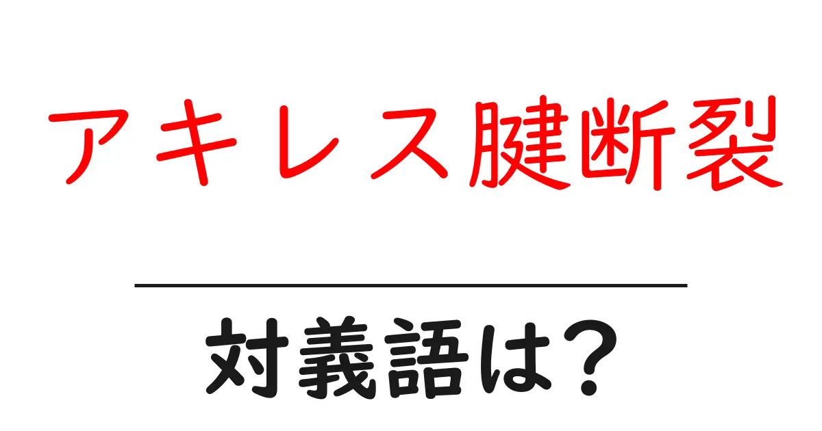 アキレス腱断裂の対義語・反対語を使用例を交えて分かりやすく解説!