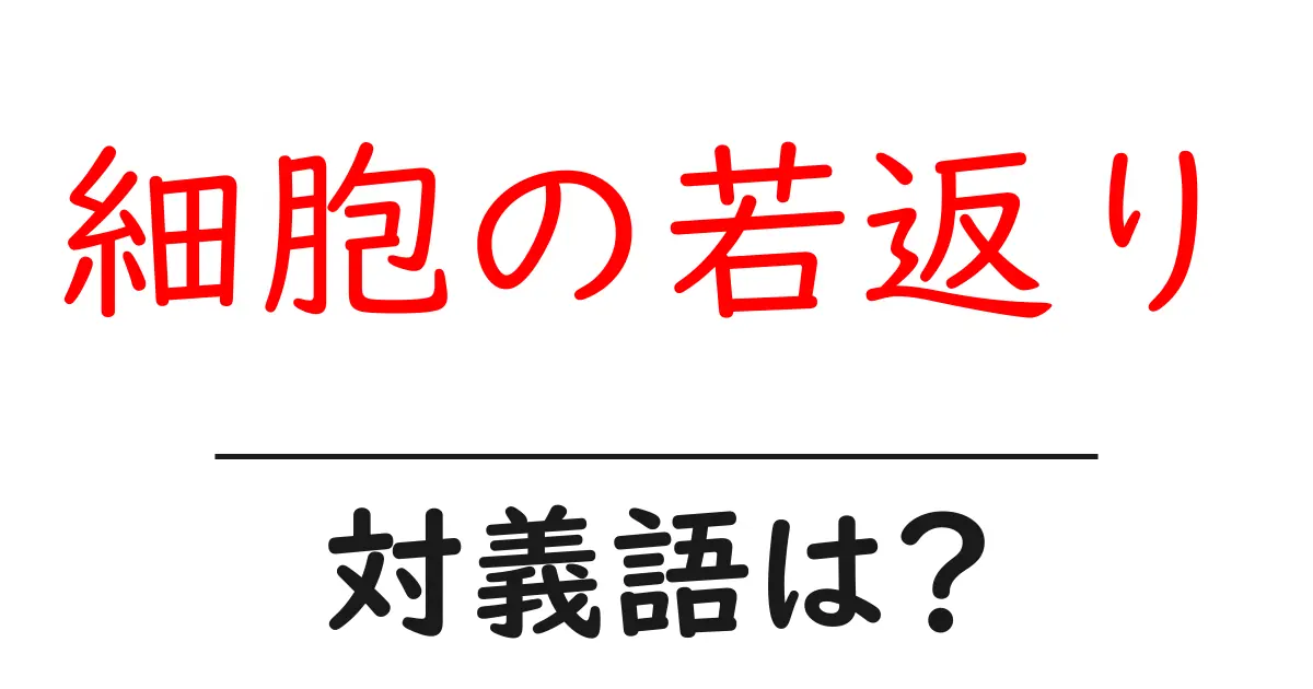 細胞の若返りの対義語・反対語を使用例を交えて分かりやすく解説!
