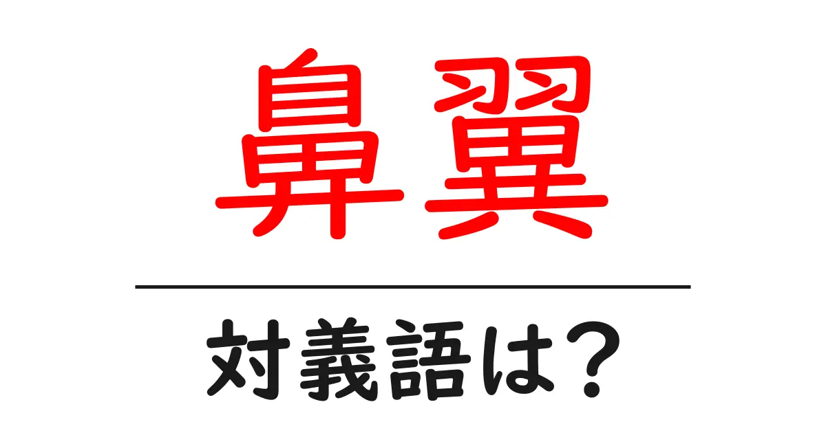 鼻翼の対義語・反対語を使用例を交えて分かりやすく解説!