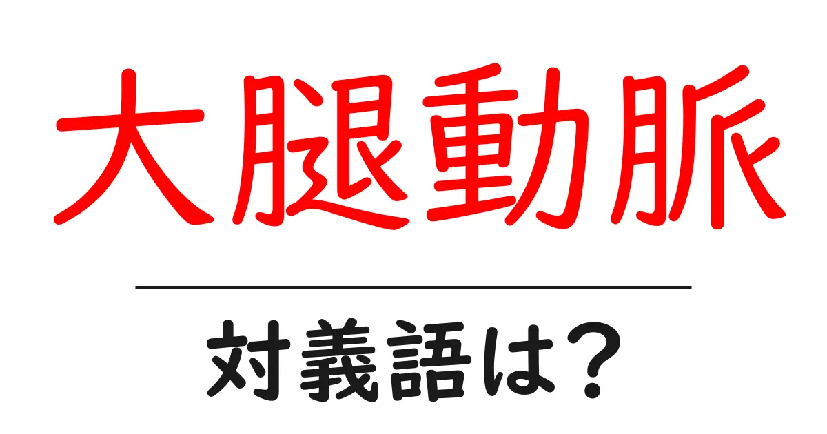 大腿動脈の対義語・反対語を使用例を交えて分かりやすく解説!