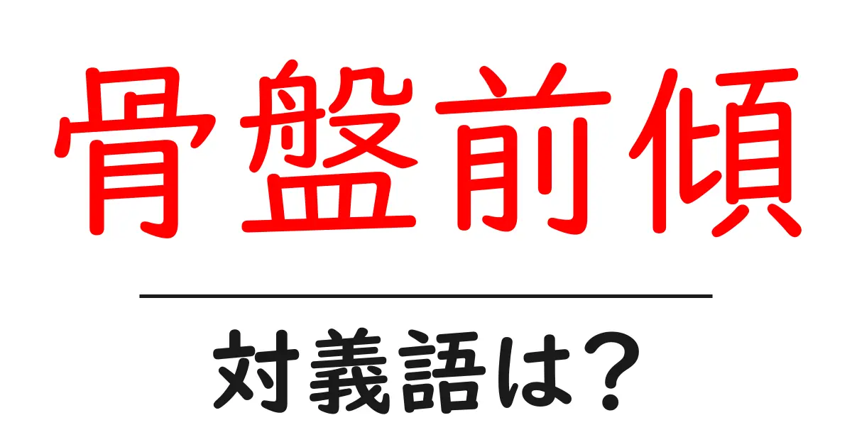 骨盤前傾の対義語・反対語を使用例を交えて分かりやすく解説!