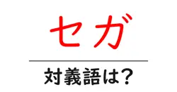 セガの対義語・反対語を使用例を交えて分かりやすく解説！