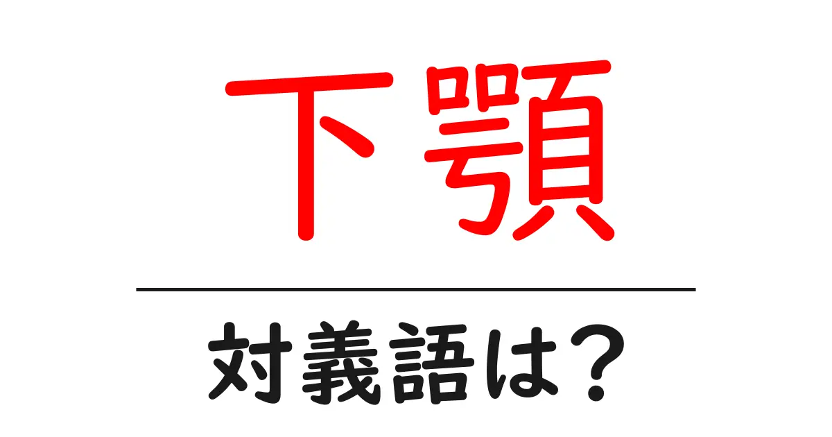下顎の対義語・反対語を使用例を交えて分かりやすく解説!