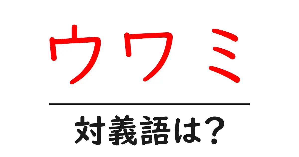 ウワミの対義語・反対語を使用例を交えて分かりやすく解説!