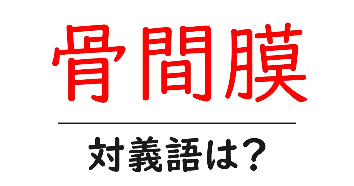 骨間膜の対義語・反対語を使用例を交えて分かりやすく解説!