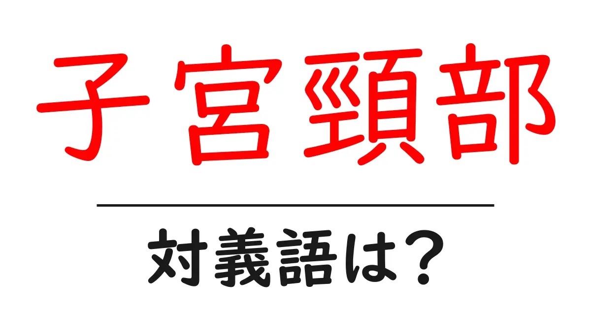 子宮頸部の対義語・反対語を使用例を交えて分かりやすく解説!