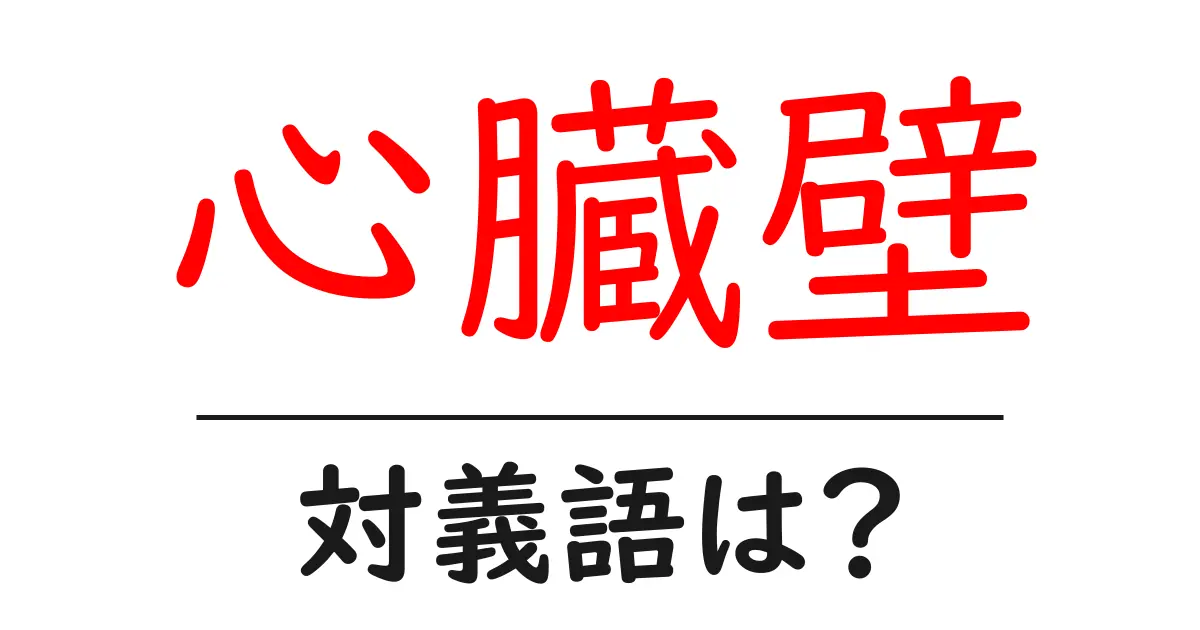 心臓壁の対義語・反対語を使用例を交えて分かりやすく解説!