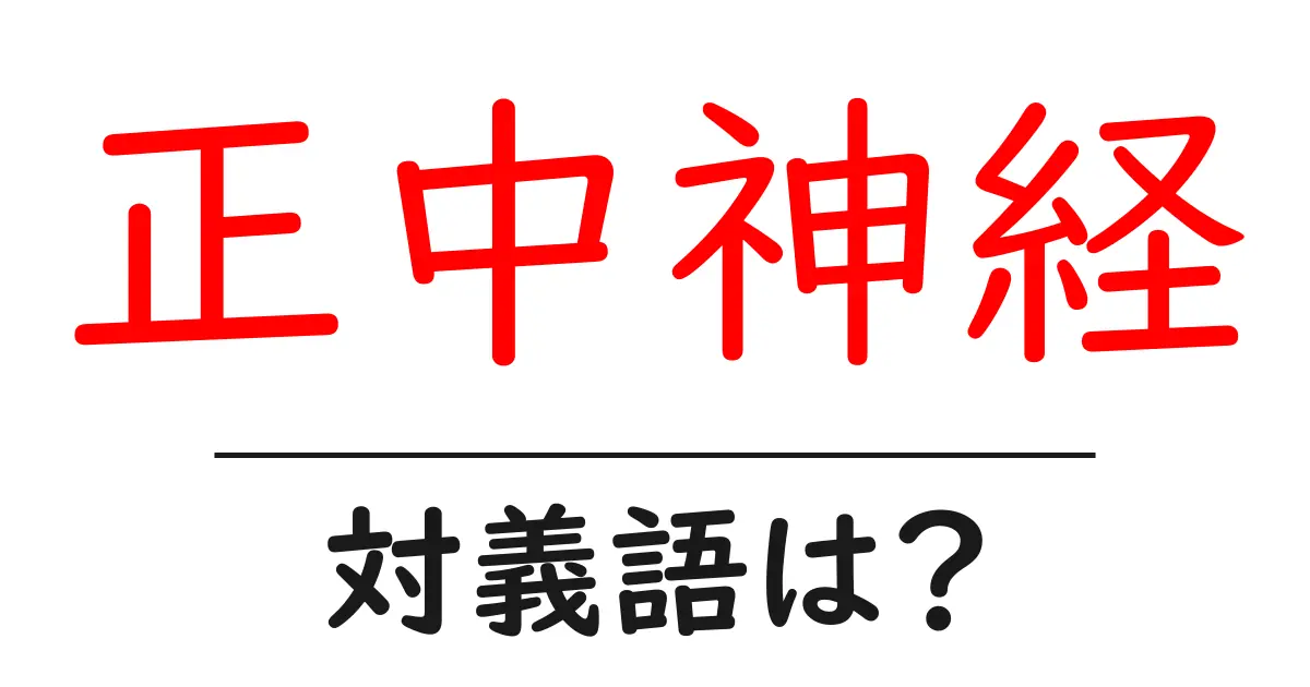 正中神経の対義語・反対語を使用例を交えて分かりやすく解説!
