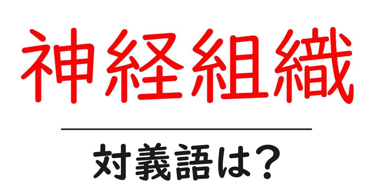 神経組織の対義語・反対語を使用例を交えて分かりやすく解説!