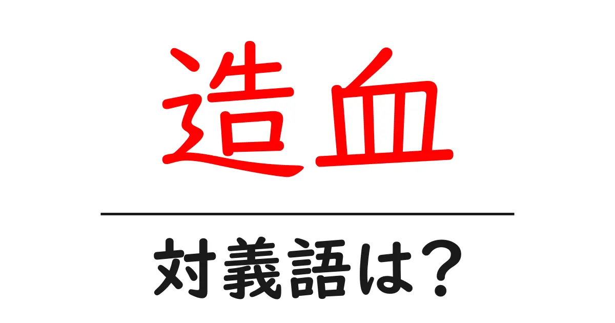 造血の対義語・反対語を使用例を交えて分かりやすく解説!