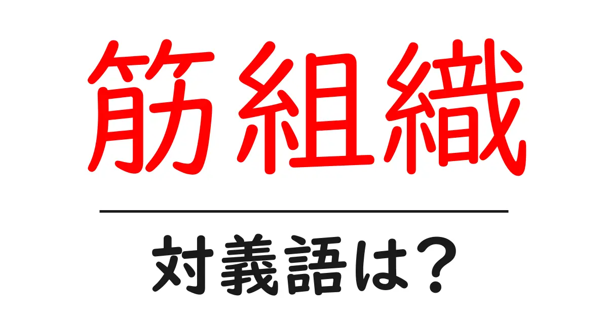 筋組織の対義語・反対語を使用例を交えて分かりやすく解説！