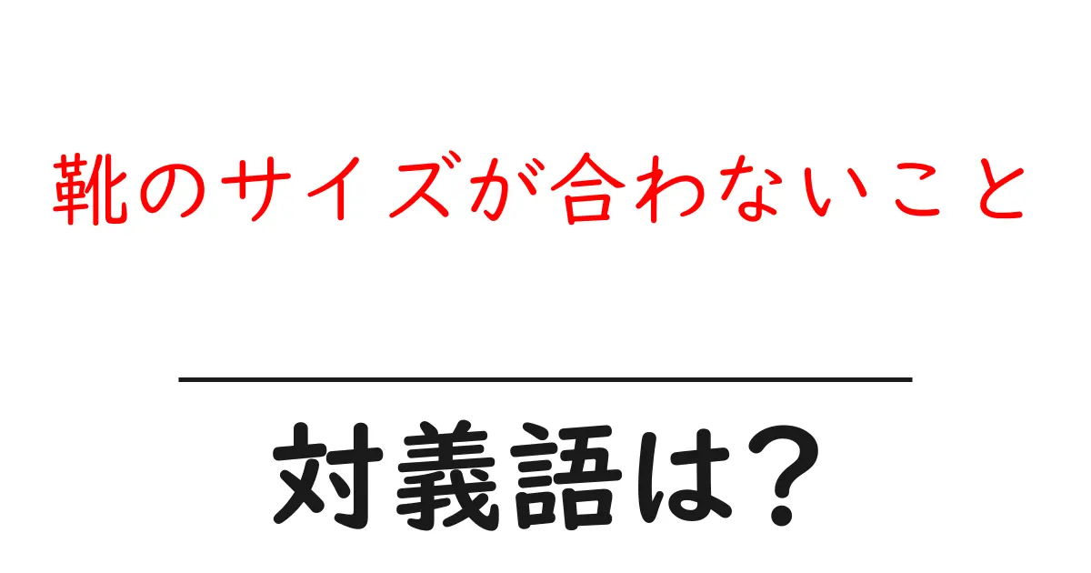 靴のサイズが合わないことの対義語・反対語を使用例を交えて分かりやすく解説！