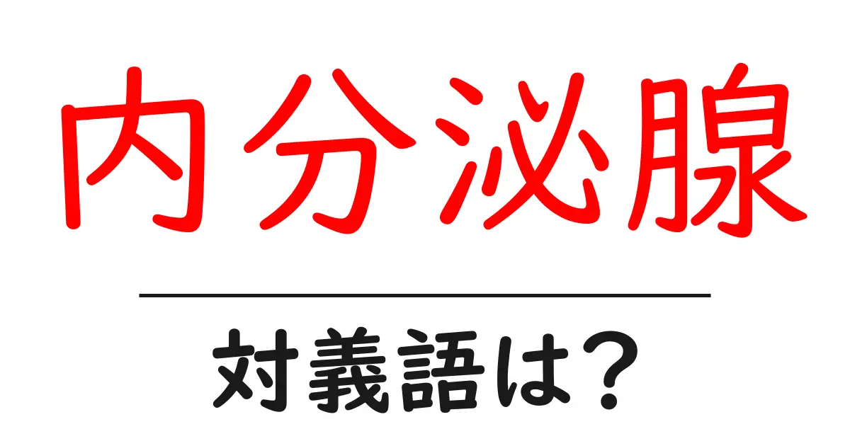 内分泌腺の対義語・反対語を使用例を交えて分かりやすく解説！