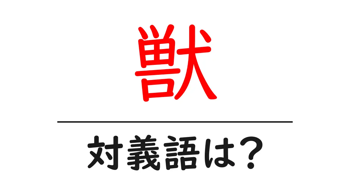 獣の対義語・反対語を使用例を交えて分かりやすく解説!