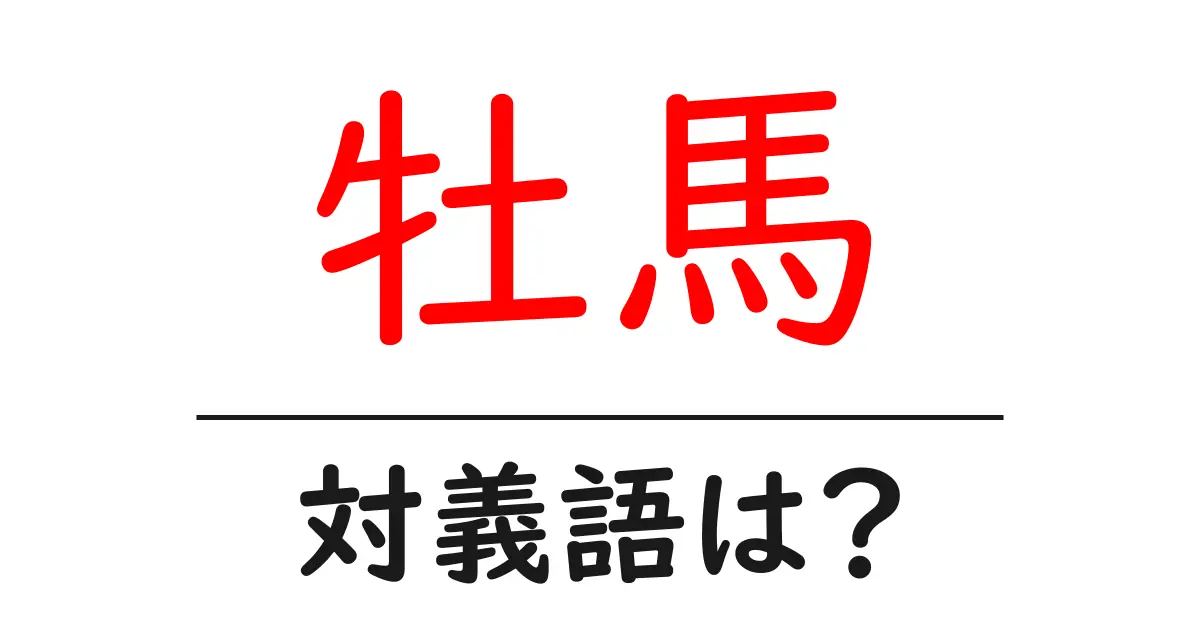 牡馬の対義語・反対語を使用例を交えて分かりやすく解説！