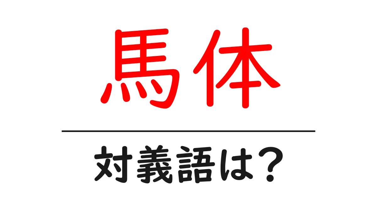 馬体の対義語・反対語を使用例を交えて分かりやすく解説!