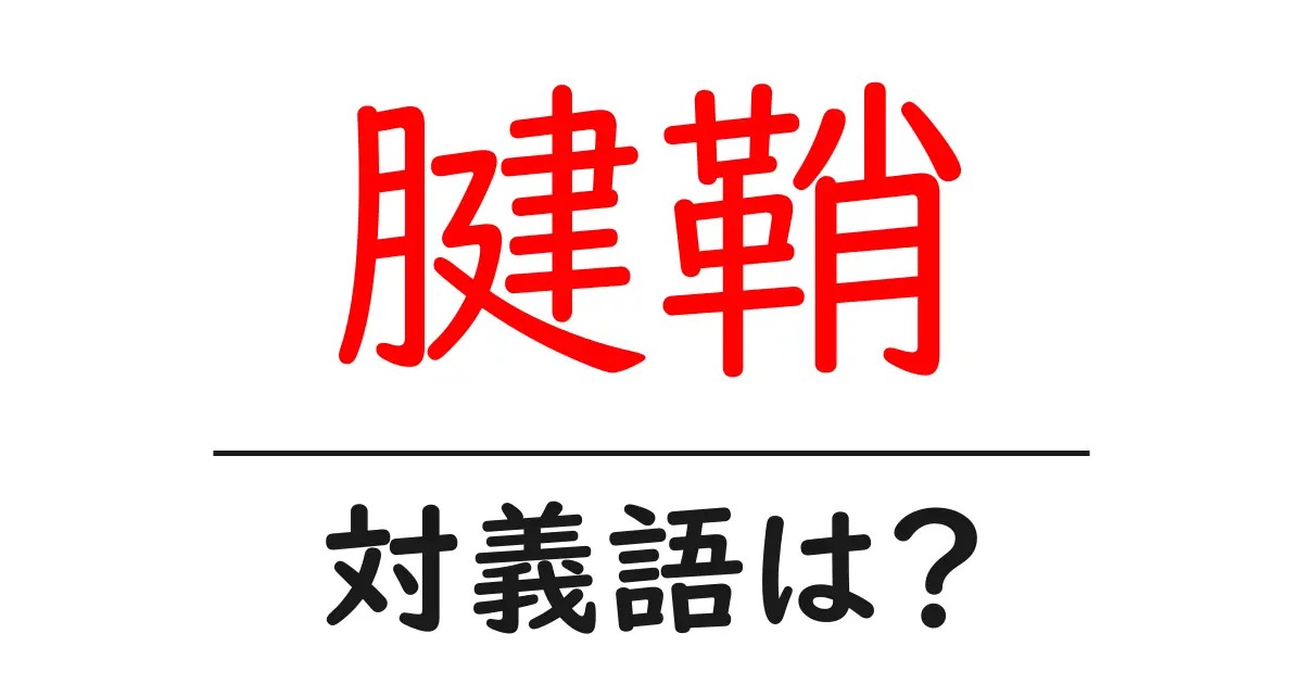 腱鞘の対義語・反対語を使用例を交えて分かりやすく解説!