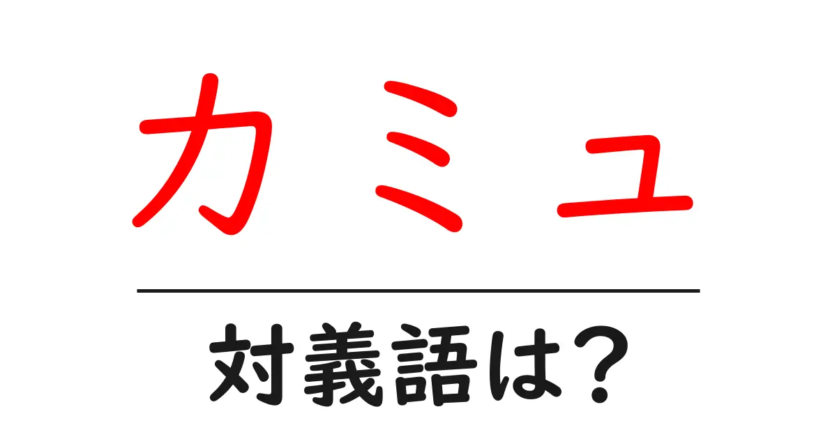 カミュの対義語・反対語を使用例を交えて分かりやすく解説!