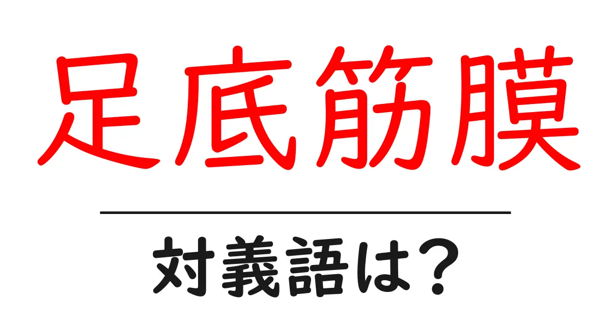 足底筋膜の対義語・反対語を使用例を交えて分かりやすく解説!