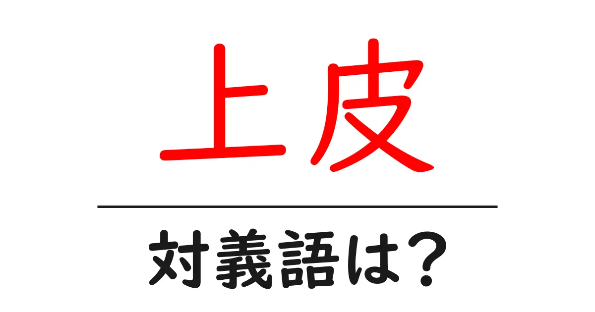 上皮の対義語・反対語を使用例を交えて分かりやすく解説！