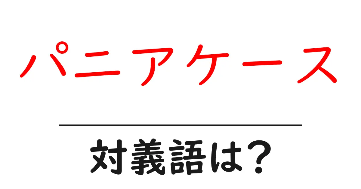 パニアケースの対義語・反対語を使用例を交えて分かりやすく解説!