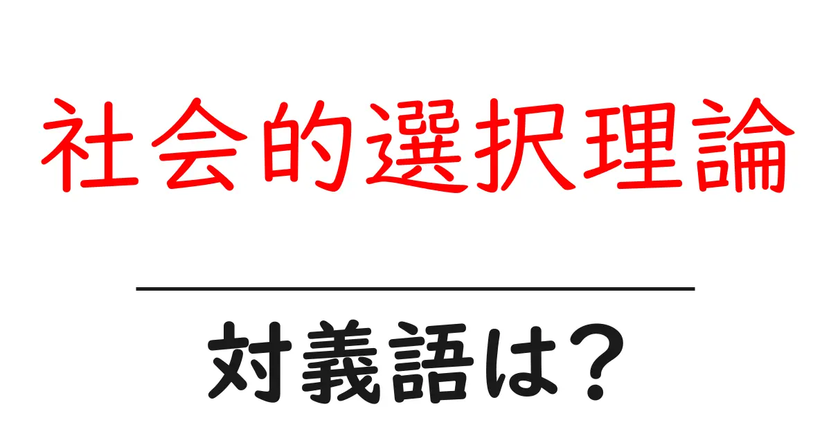 社会的選択理論の対義語・反対語を使用例を交えて分かりやすく解説！