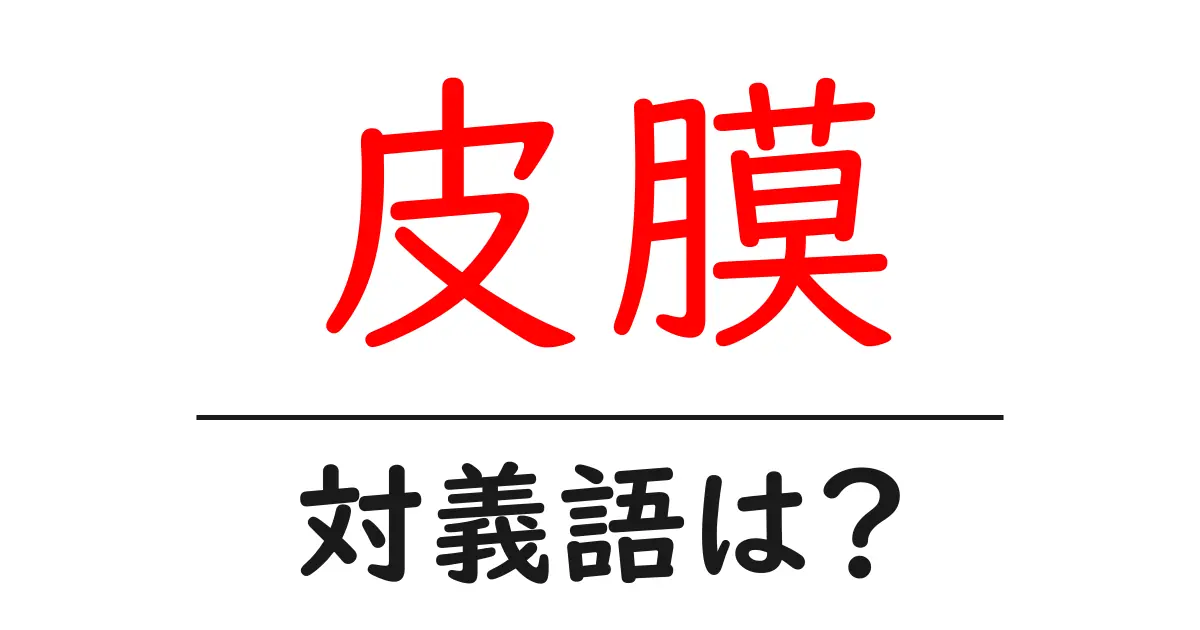 皮膜の対義語・反対語を使用例を交えて分かりやすく解説!