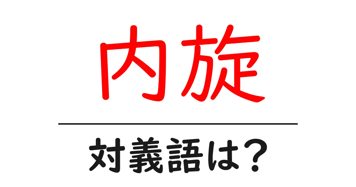 内旋の対義語・反対語を使用例を交えて分かりやすく解説!
