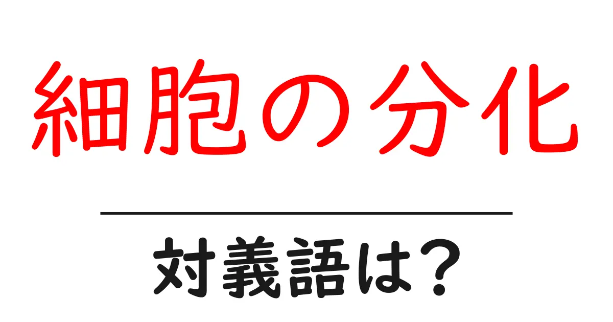 細胞の分化の対義語・反対語を使用例を交えて分かりやすく解説!