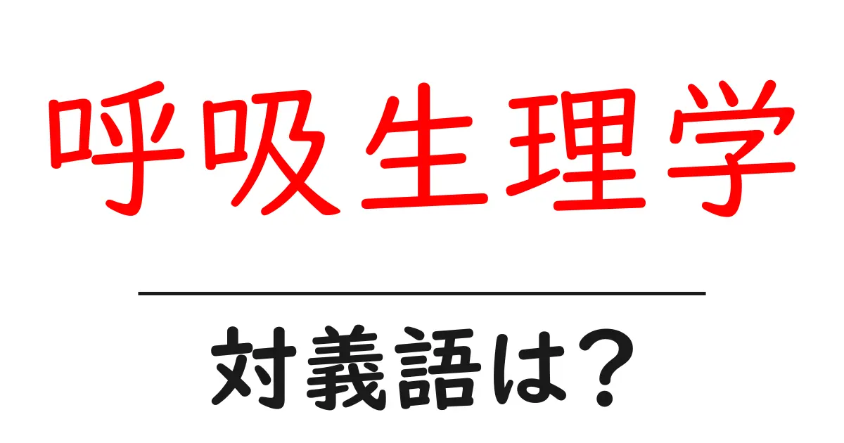 呼吸生理学の対義語・反対語を使用例を交えて分かりやすく解説!