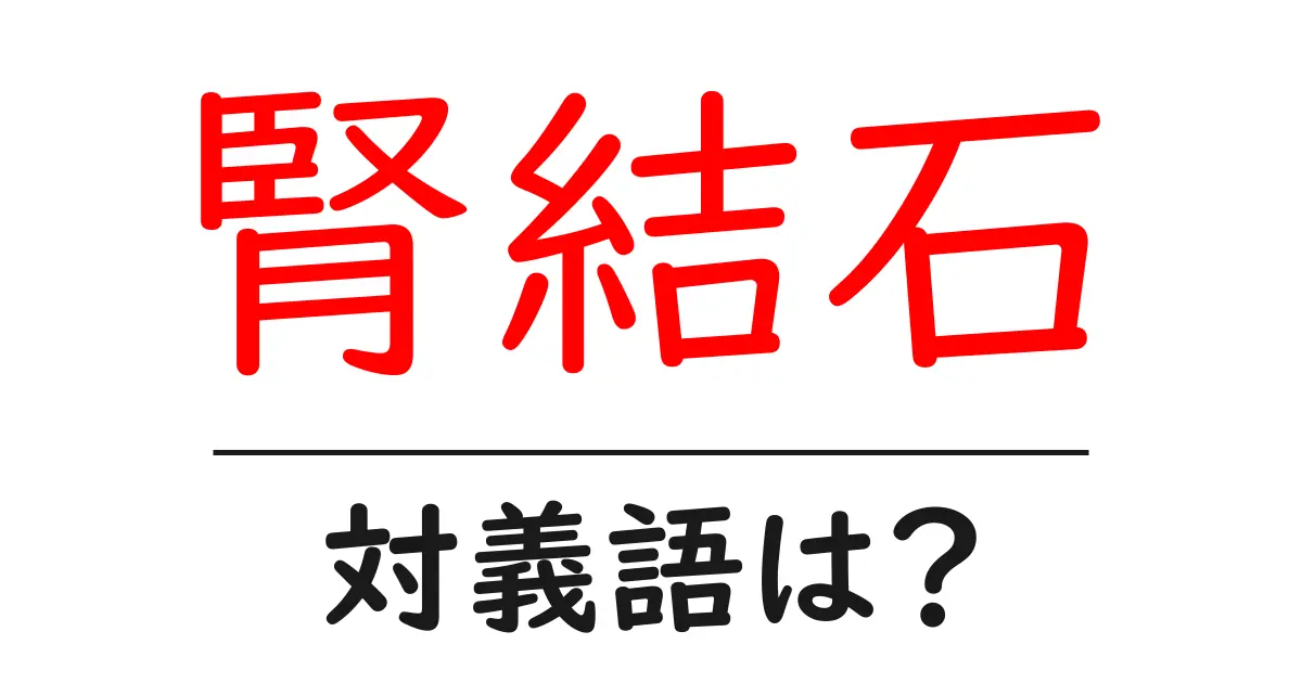 腎結石の対義語・反対語を使用例を交えて分かりやすく解説!