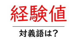 経験値の対義語・反対語を使用例を交えて分かりやすく解説！