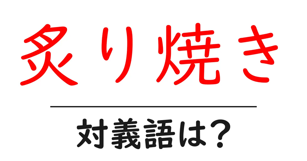 炙り焼きの対義語・反対語を使用例を交えて分かりやすく解説!