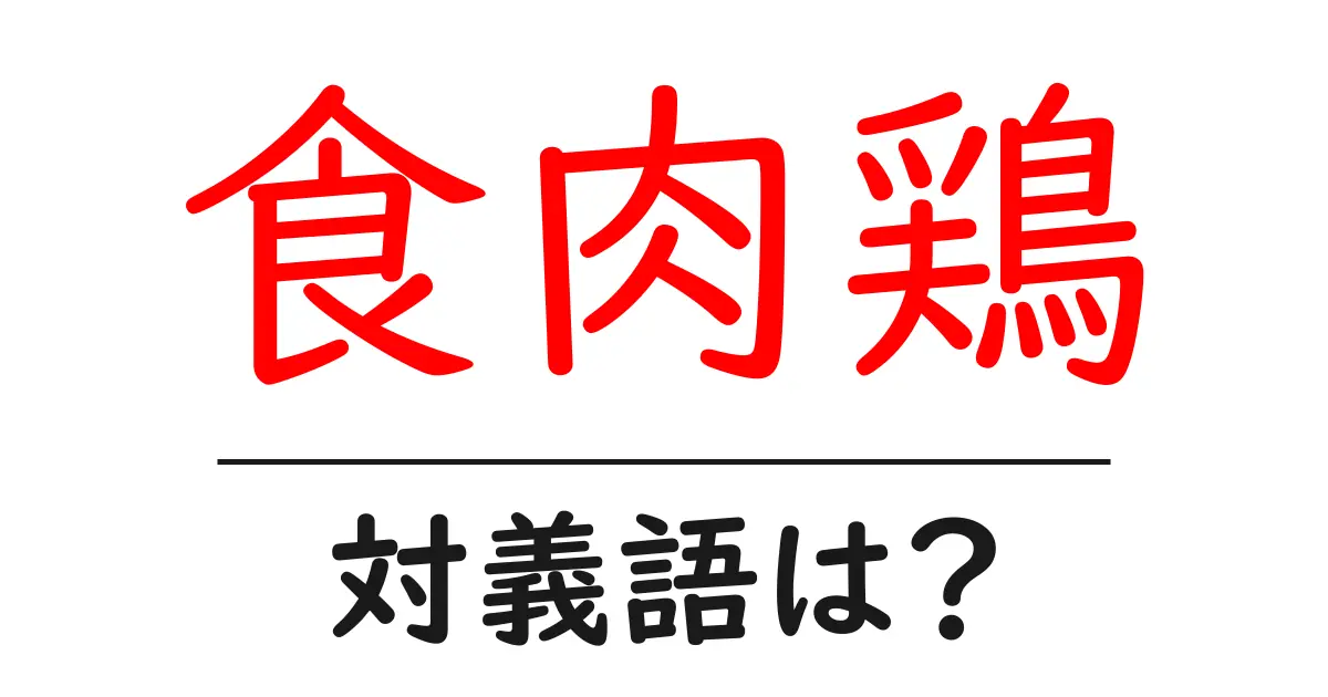 食肉鶏の対義語・反対語を使用例を交えて分かりやすく解説!