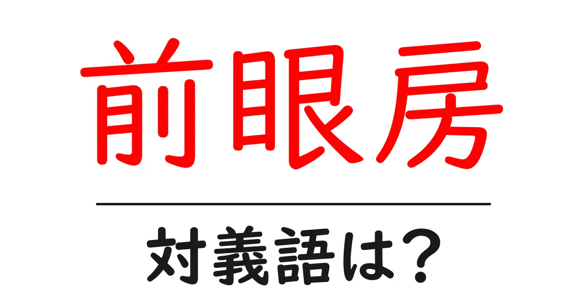 前眼房の対義語・反対語を使用例を交えて分かりやすく解説!