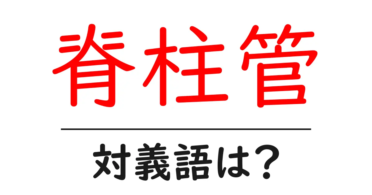 脊柱管の対義語・反対語を使用例を交えて分かりやすく解説!