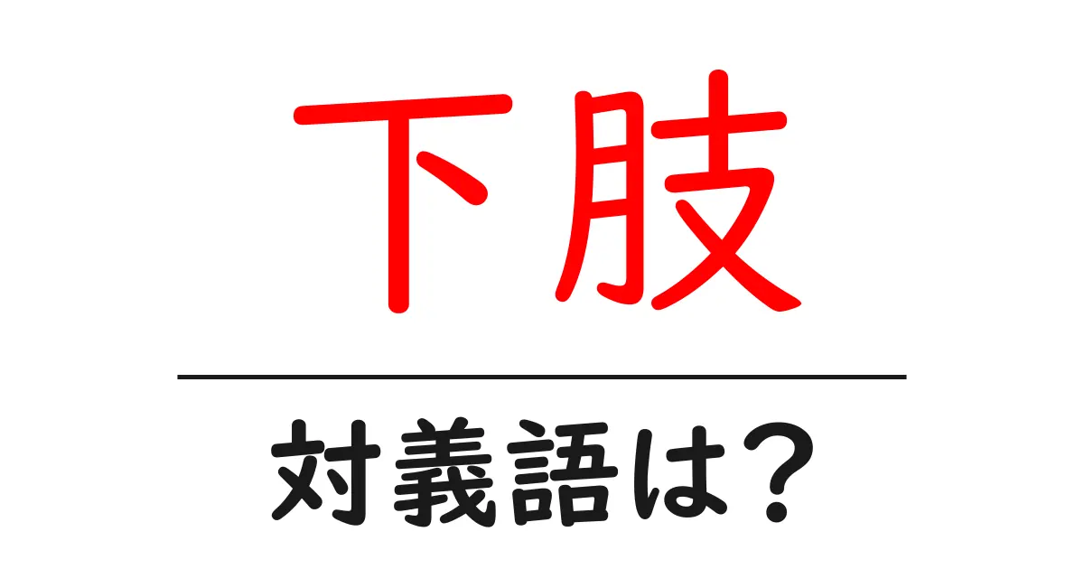 下肢の対義語・反対語を使用例を交えて分かりやすく解説!